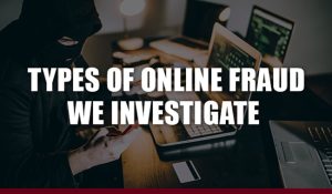 Types of Online Fraud We Investigate